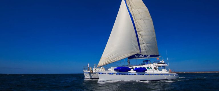 Nemo III - 4 Day Cruise Central Galapagos
